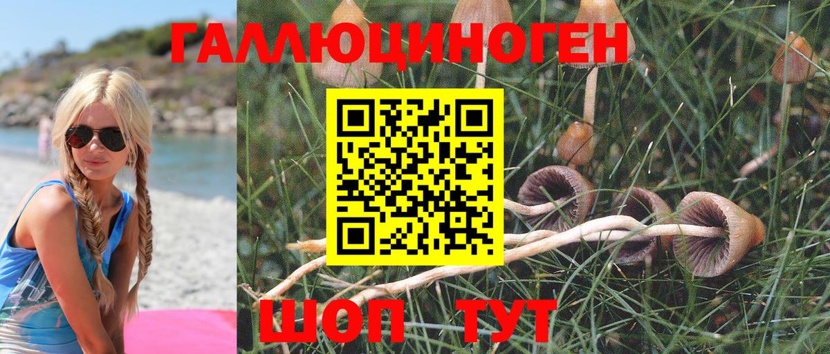 Вязьма  Галлюциногенные грибы мухоморы  Вход с VPN 